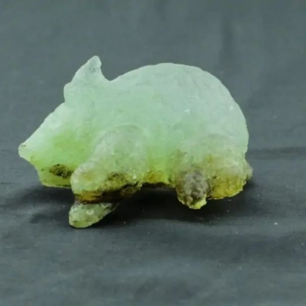 Fossilized Rhino Siluman Spirit Fossil - Type A5