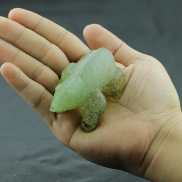 Fossilized Rhino Siluman Spirit Fossil - Type A5