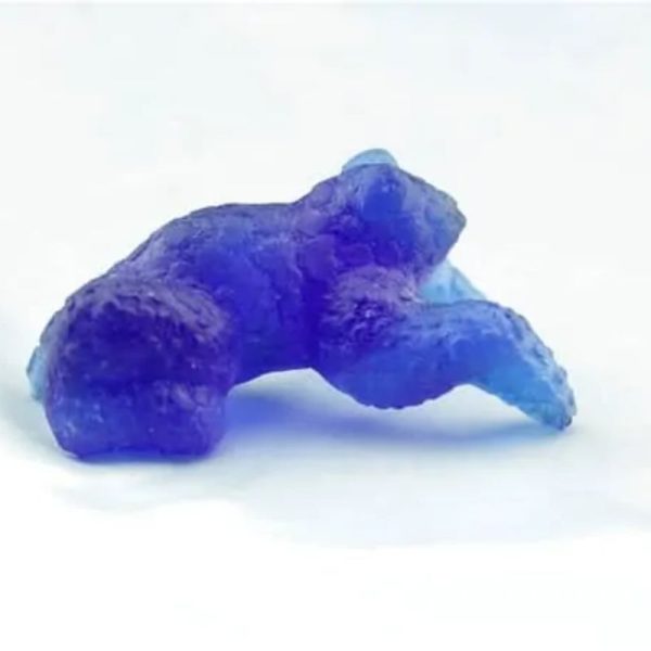 Fossilized Blue Rhinoceros Type B8 - Image 4