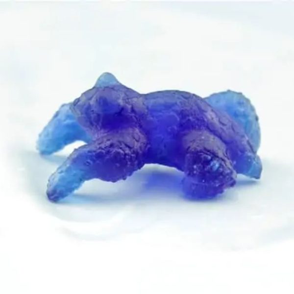 Fossilized Blue Rhinoceros Type B8 - Image 3