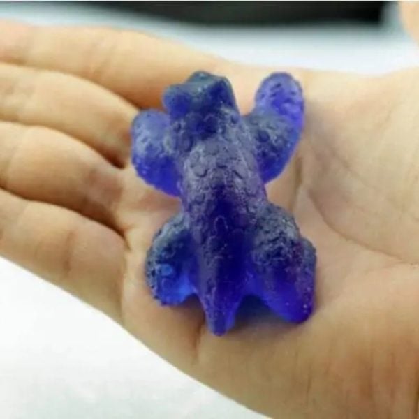 Fossilized Blue Rhinoceros Type B8 - Image 2