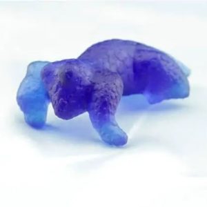 Fossilized Blue Rhinoceros Type B5