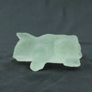 Fossilized Rhino Siluman Spirit Fossil - Type A2