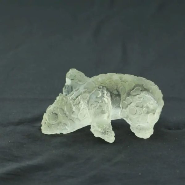 Fossilized Rhino Siluman Spirit Fossil - Type A1