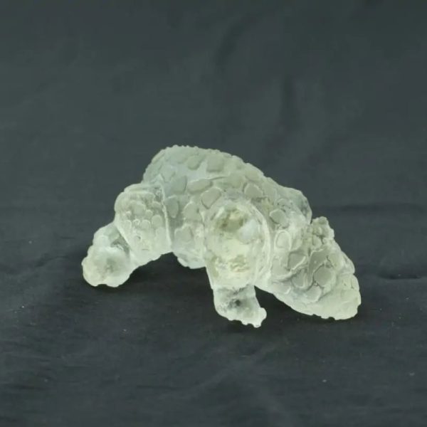 Fossilized Rhino Siluman Spirit Fossil - Type A1 - Image 4