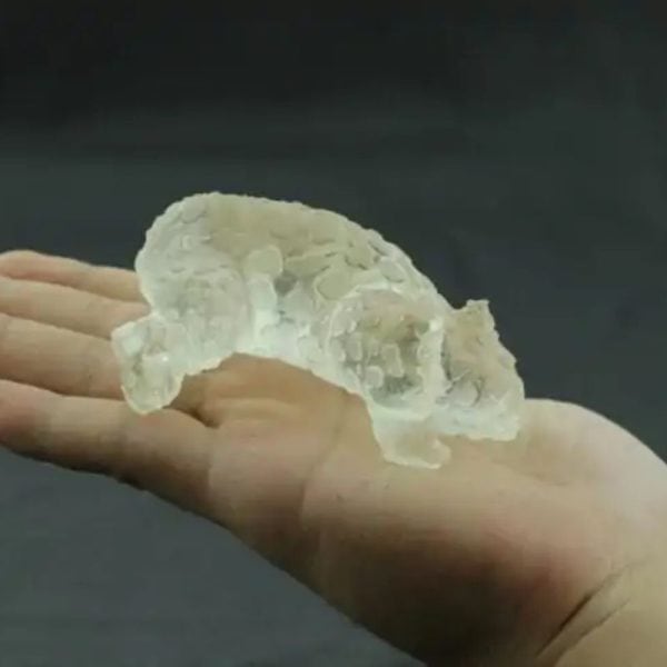 Fossilized Rhino Siluman Spirit Fossil - Type A1 - Image 3
