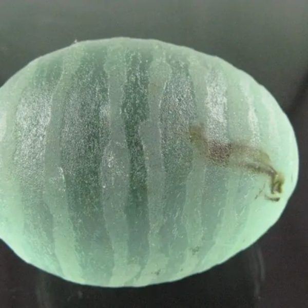 Cloud/Wind Pearl (Egg Shape) - Type D20 - Image 4