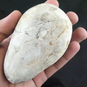 Large Earth Bumi Pearl - Type D1