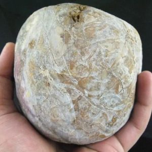 Large Earth Bumi Pearl - Type D2