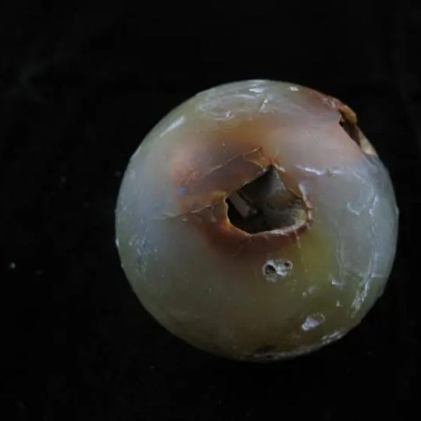 Earth Bumi Pearl Type E - Image 2
