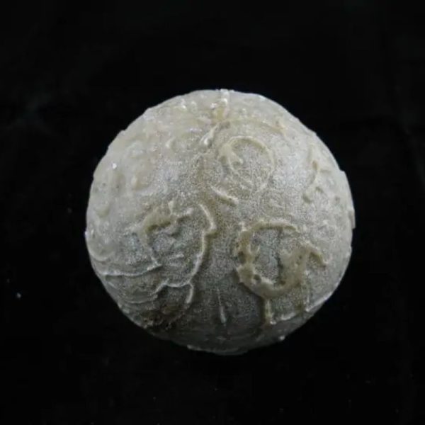 Earth Bumi Pearl Type D - Image 4