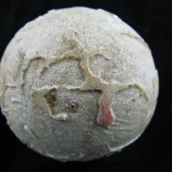 Earth Bumi Pearl Type B - Image 4