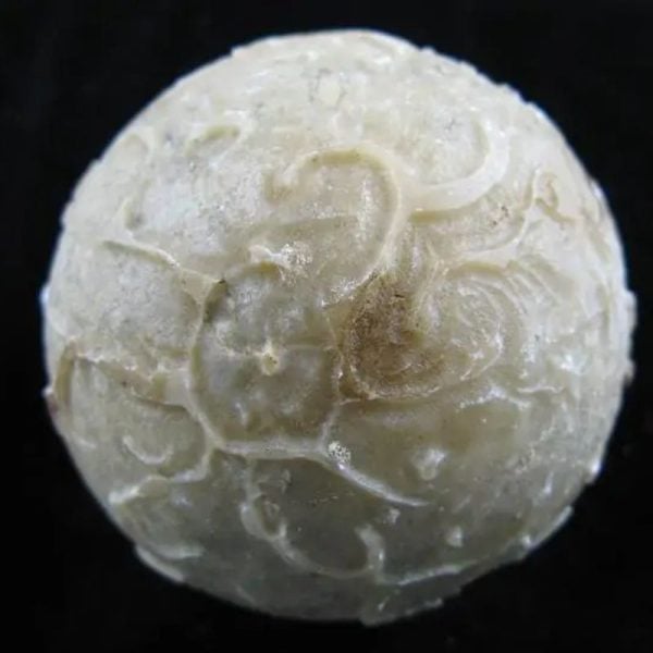 Earth Bumi Pearl Type B - Image 2