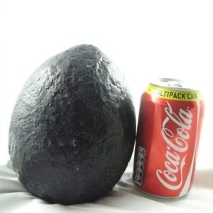 Black Telor Jagad Pearl - Type B2 (Small)