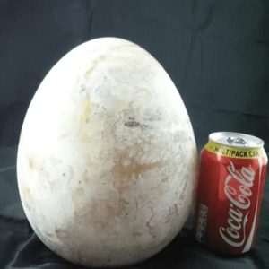 White Telor Jagad Pearl - Type A3 (Small)
