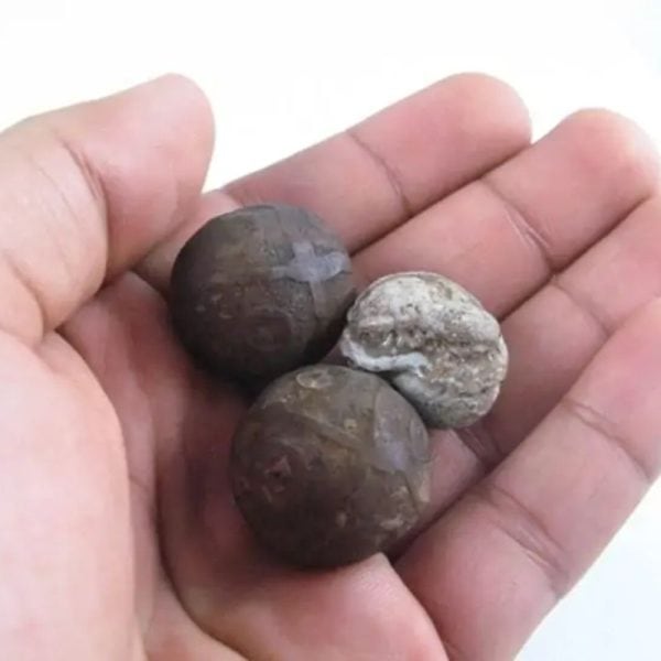 Lightning Pearls - Type A1 - Image 5