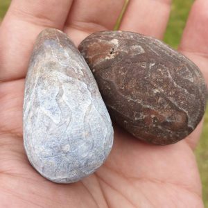 Lightning Pearls - Type C1