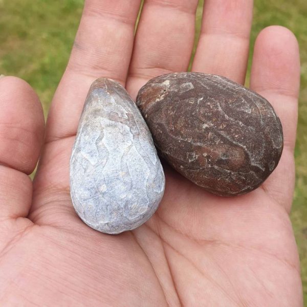 Lightning Pearls - Type C1 - Image 3