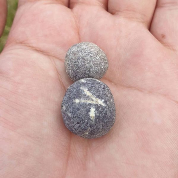 Lightening Pearls - Type D1 - Image 2