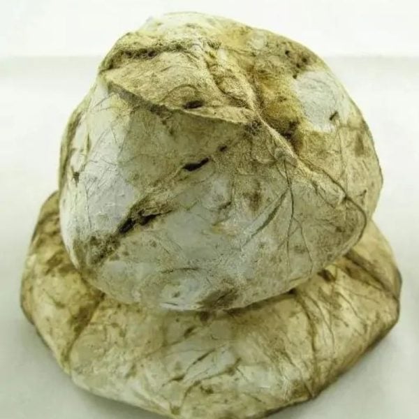 Large Linga Yoni Type B7 - Image 3
