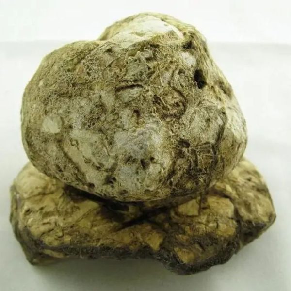 Large Linga Yoni Type B7 - Image 2
