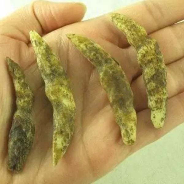 Wild Black Cat Horns - Type A - Image 2