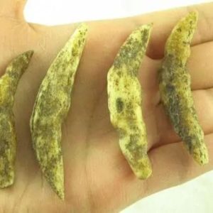 Wild Black Cat Horns - Type A
