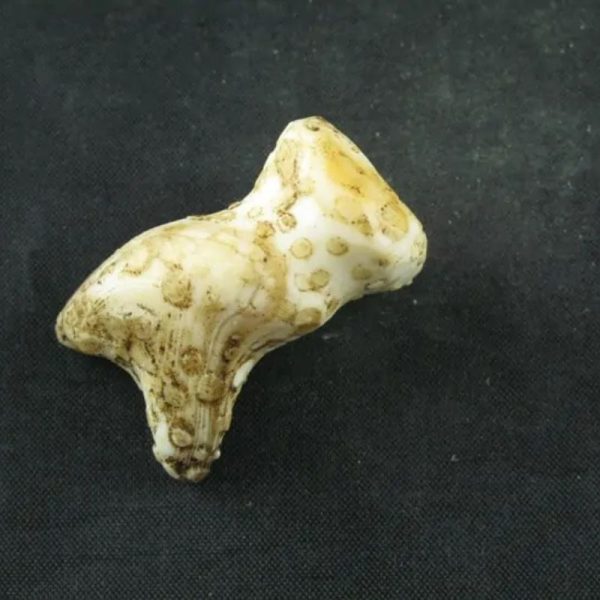 White Sanca Snake Horns - Type A12 - Image 3