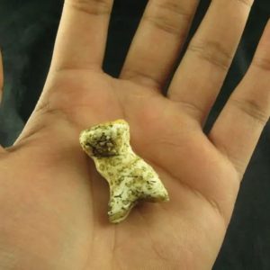 White Sanca Snake Horns - Type A12