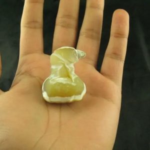 White Dragon Horn Fossil - Type A6