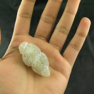 White Dragon Horn Fossil - Type B3