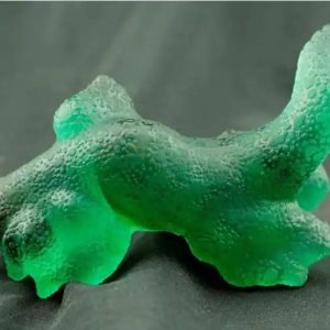 Fossilized Green Dragons - Type A4