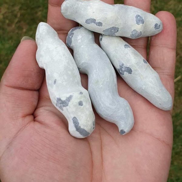 Orangutan Pearls - Type A2 (Kalimantan)