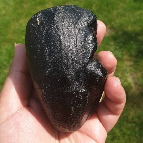 Antelope Horn Pearl - Type A - Image 3