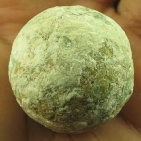 Leopard Pearl - Type C - Image 2