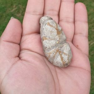 Rhinoceros Pearl - Type E