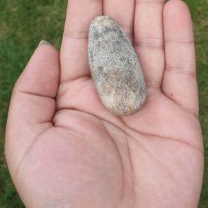 Rhinoceros Pearl - Type F