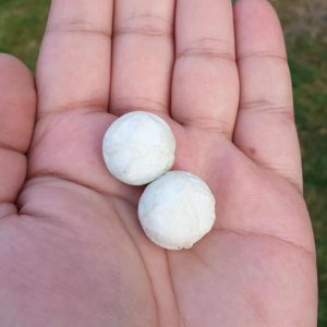 Monkey Pearl - Type D (White Monkey)
