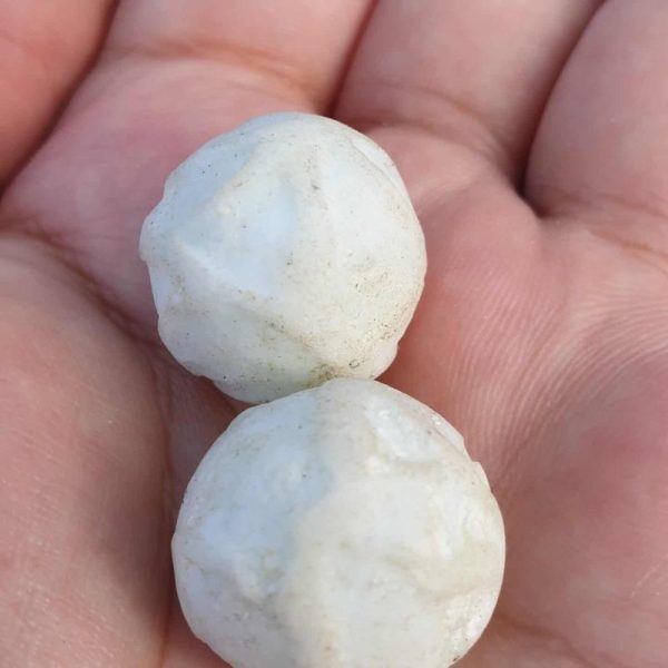 Monkey Pearl - Type D (White Monkey) - Image 2