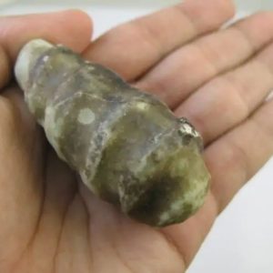 Bamboo Puter Giling