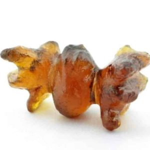 Bat Pearls & Bat Fossils