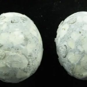 Bird Pearls