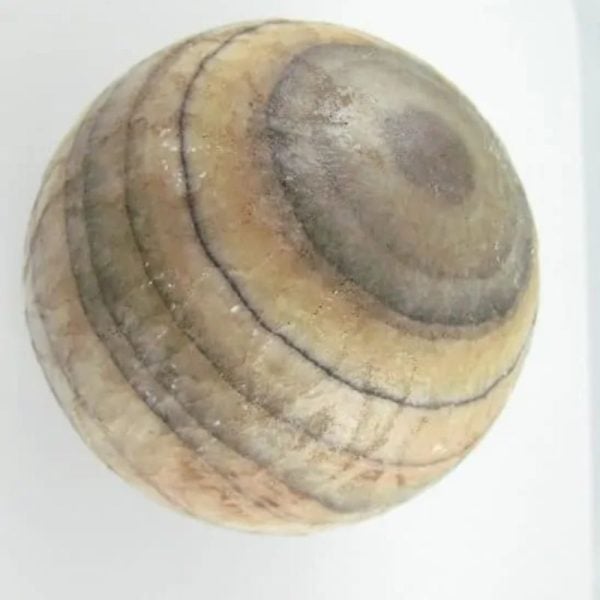 Puser Bumi Pearl Ball - Type H3 - Image 4