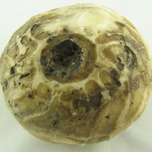 Puser Bumi Pearl Ball - Type C - Image 4