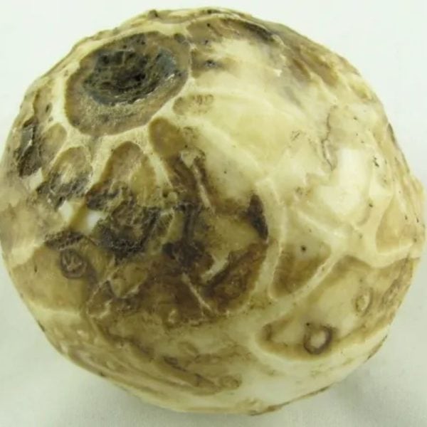 Puser Bumi Pearl Ball - Type C - Image 3