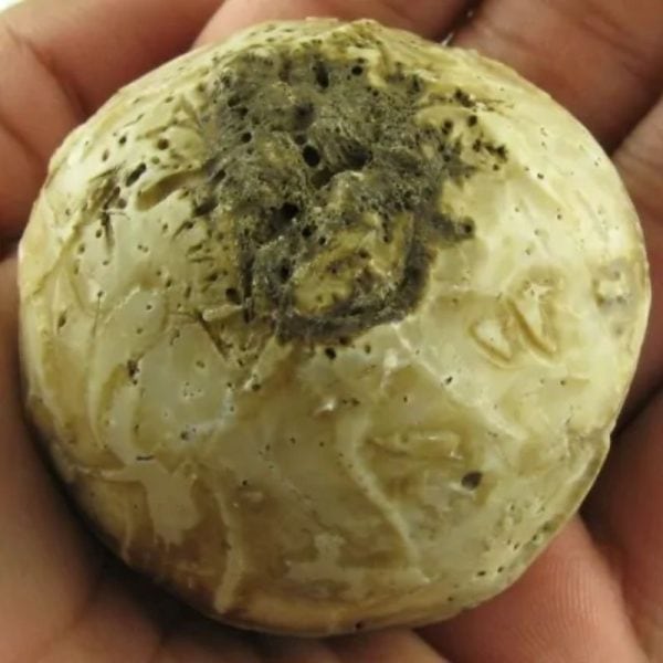 Puser Bumi Pearl Ball - Type C - Image 2
