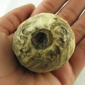 Puser Bumi Pearl Ball - Type C
