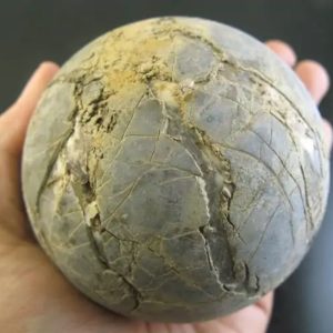 Earth Bumi Pearl - Type G1