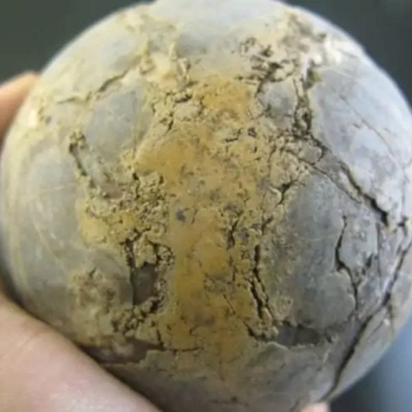 Earth Bumi Pearl - Type G1 - Image 3