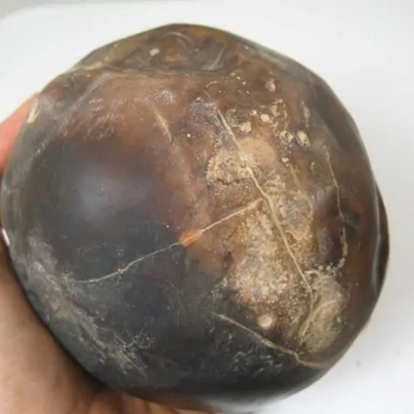 Earth Bumi Pearl - Type F1
